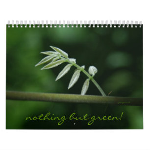 Calendrier Mural rien mais vert !