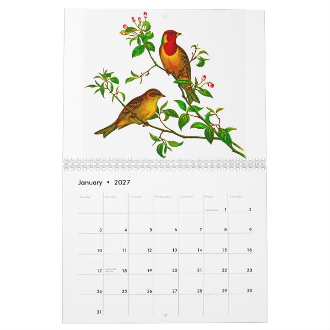 Calendrier Mural Rosella jaune (Jan 2027)
