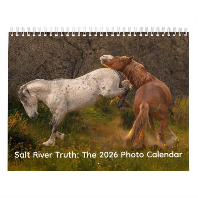 Calendrier mural Salt River Truth 2026 (Protection)