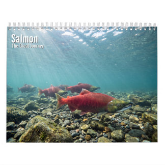 Calendrier mural Saumon 2027