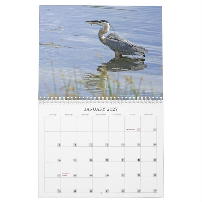 Calendrier Mural Série bleue de héron (Jan 2027)