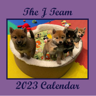 Calendrier mural Shiba PuppyCam 2023