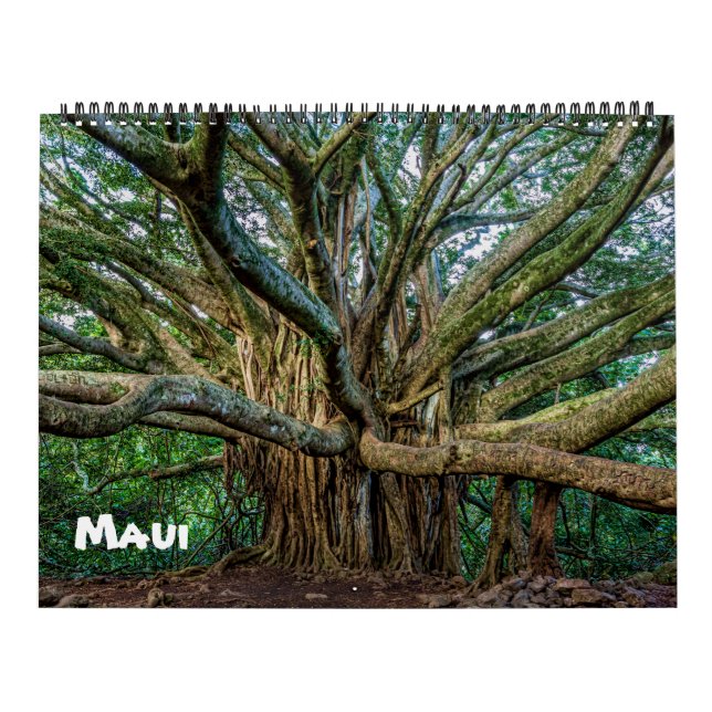 Calendrier Mural Spectaculaire Maui (Protection)