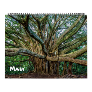 Calendrier Mural Spectaculaire Maui