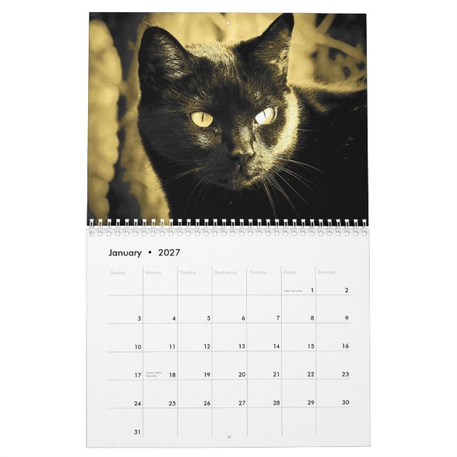 Calendrier Mural Style du chat du DJ en noir et blanc (Jan 2027)