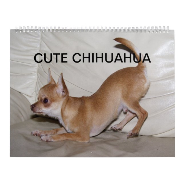 Calendrier Mural Sweet Little Chihuahua 2023 (Protection)