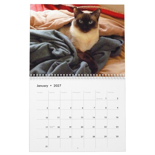 Calendrier Mural Teintez teintent le chat siamois (Jan 2027)
