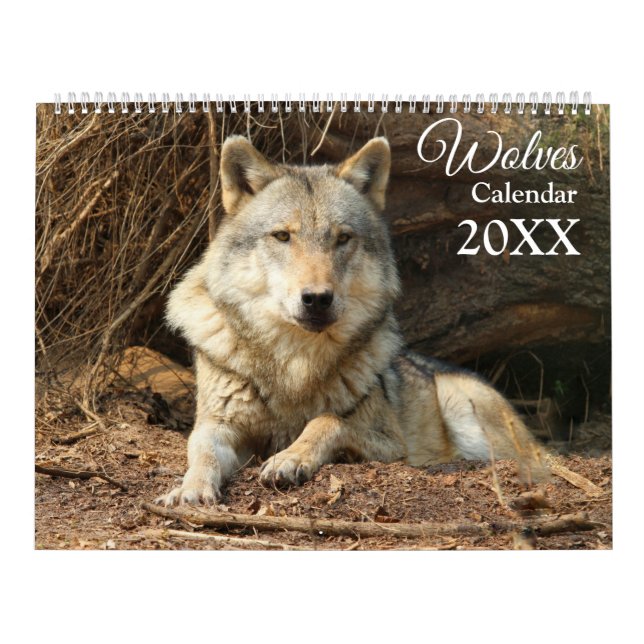 Calendrier mural thématique Loups 2027 (Protection)