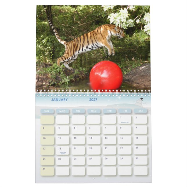 Calendrier Mural Tiger_Aroara012, tigre Auroara (Jan 2027)