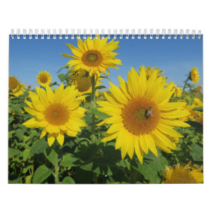 Calendrier Mural tournesol dans un ciel bleu fleur colorée d'été