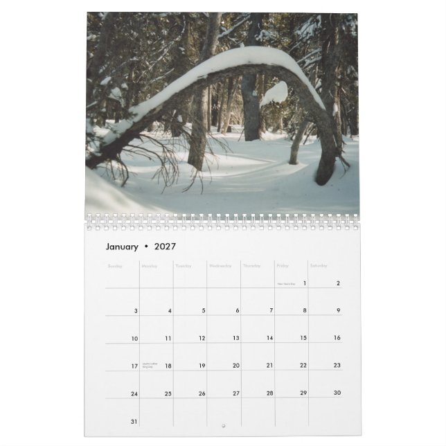 Calendrier Mural Trésors cachés 2011 (Jan 2027)