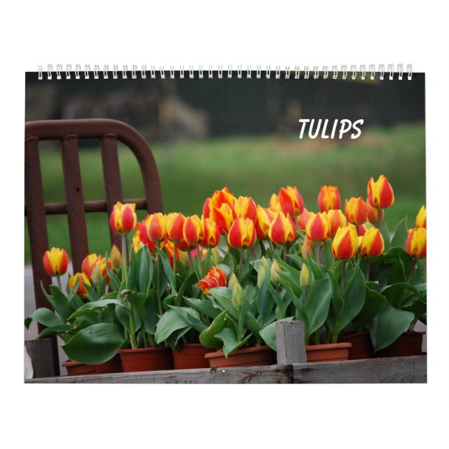 Calendrier Mural Tulipes (Protection)