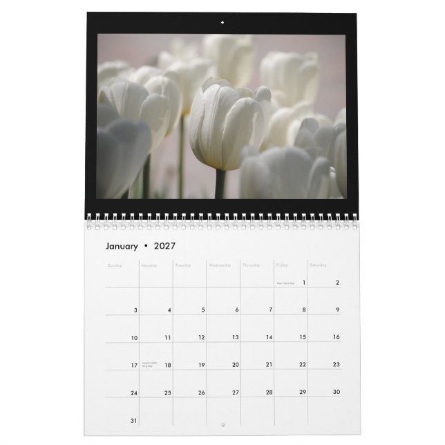 Calendrier Mural Tulipes 2013 (Jan 2027)