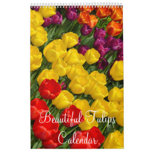 Calendrier Mural Tulipes colorées
