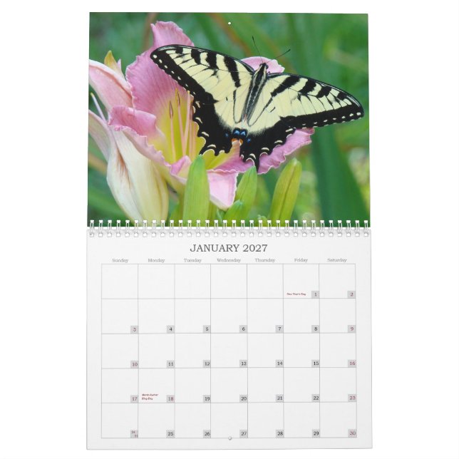Calendrier Mural Un contact des Daylilies de Sun (Jan 2027)