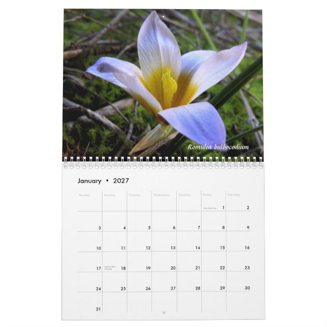 Calendrier Mural Un hommage à la flore de la Grèce du nord (Jan 2027)