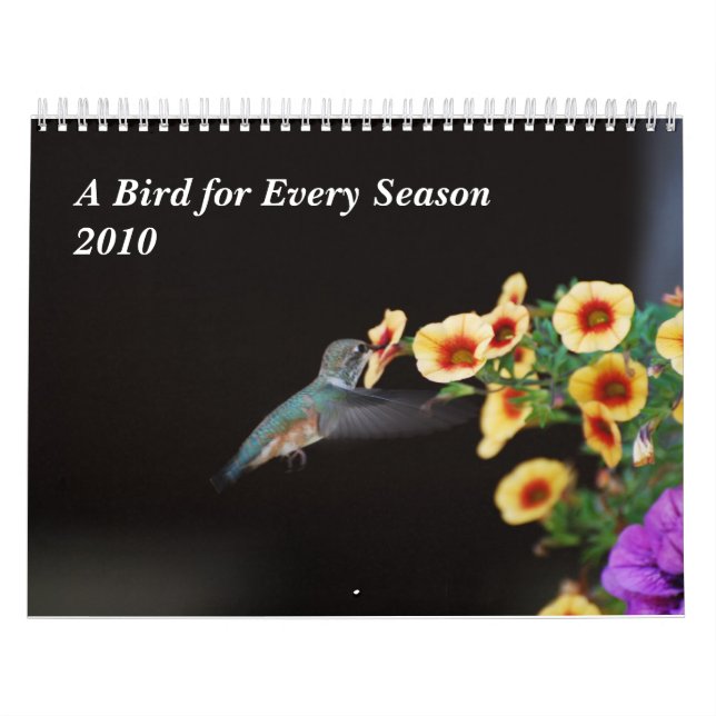Calendrier Mural Un oiseau pour chaque saison (Protection)