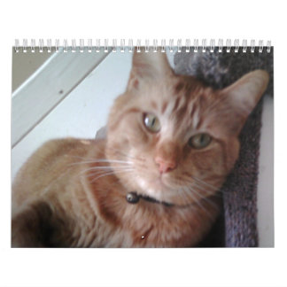 Calendrier Mural Une année avec le Pokey