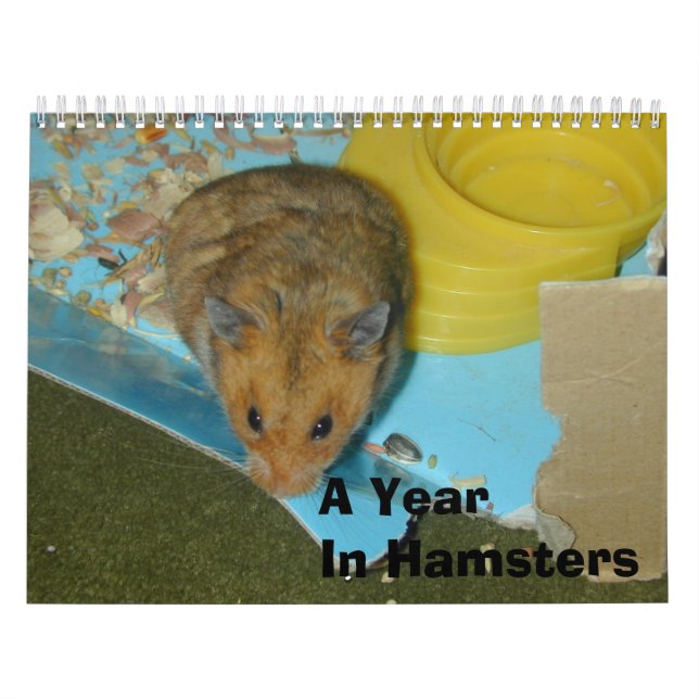 Calendrier Mural Une année chez les hamsters 2010 (Protection)