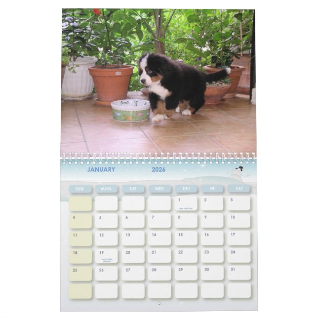 Calendrier Mural Une année de Berner (Jan 2026)