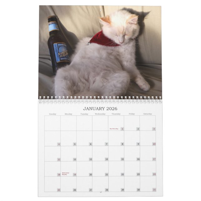 Calendrier Mural Une année de ridicule (Jan 2026)