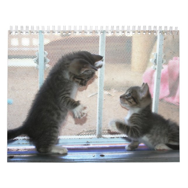 Calendrier Mural Une année des fuzzybutts (Protection)