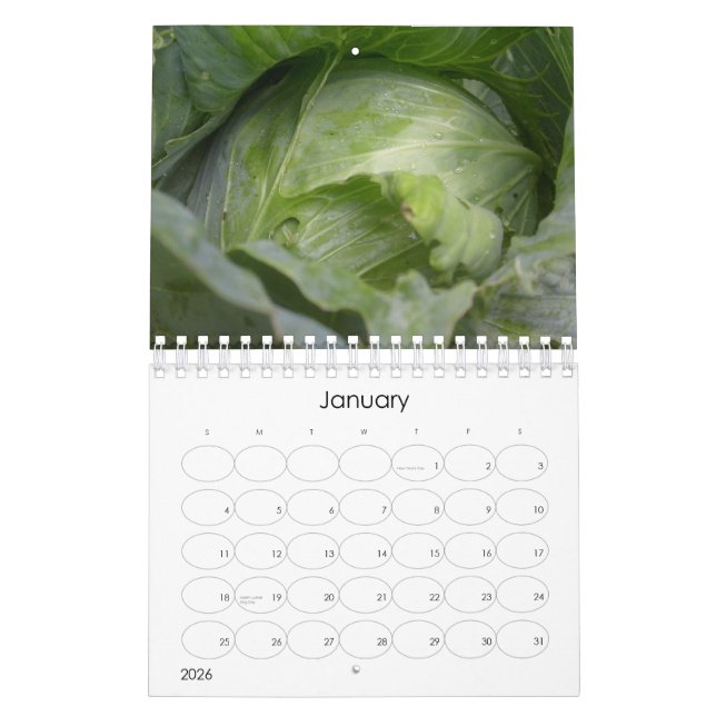 Calendrier Mural Une année en fruits, légumes et fleurs (Jan 2026)