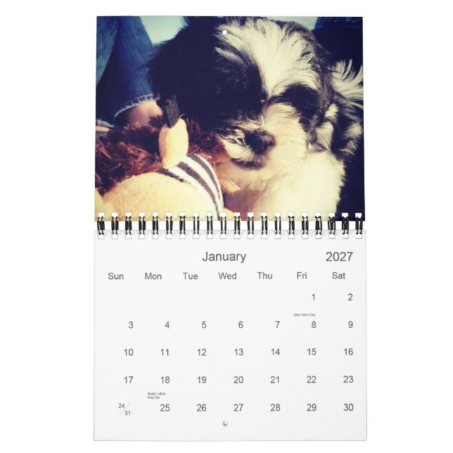 Calendrier Mural Une dose quotidienne de panda (Jan 2027)