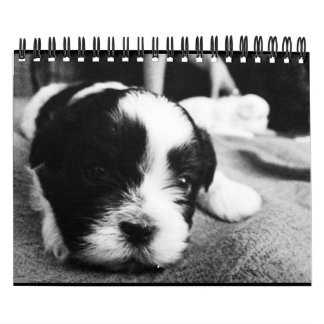 Calendrier Mural Une dose quotidienne de panda