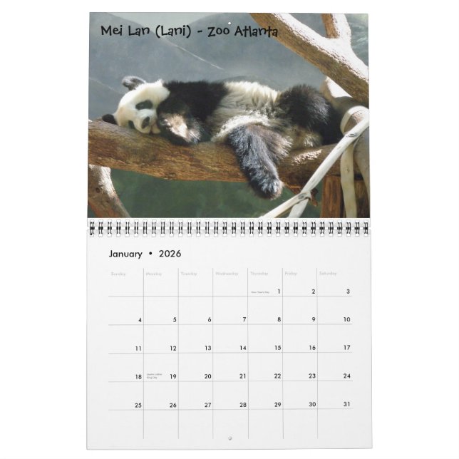 Calendrier Mural Une passion pour Pandas !, 2009 Calend... -Personn (Jan 2026)