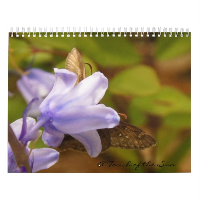 Calendrier Mural Une touche des Carolinas (Protection)