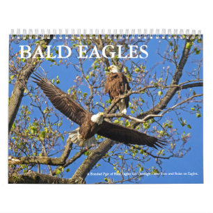 CALENDRIER MURAL VIE DE BALD EAGLE