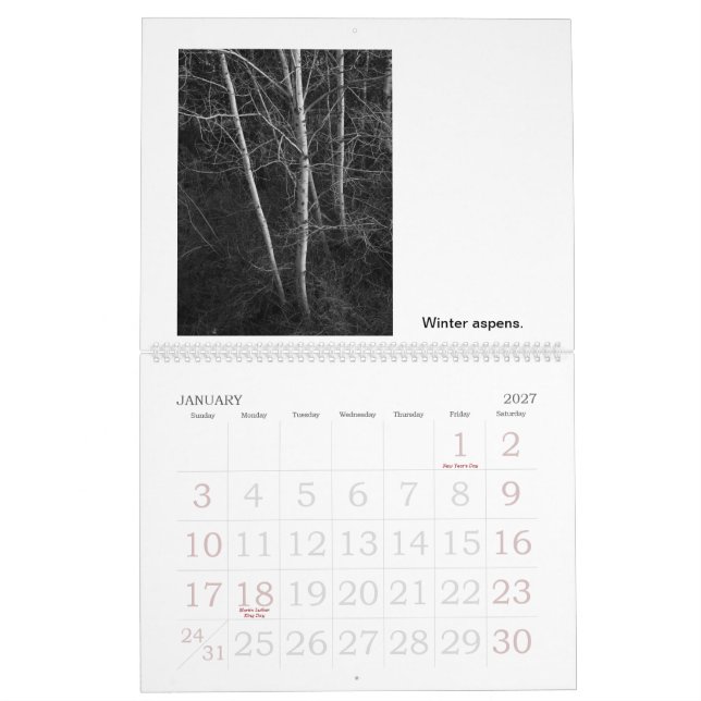Calendrier Mural Vies et morts des arbres (Jan 2027)