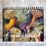 Calendrier Mural Vintage Ernst Haeckel, Biologie, Botanique, Scienc<br><div class="desc">Calendrier de 12 mois avec illustrations vintages d'Ernst Haeckel. Un grand cadeau pour les geeks et les geeks de la science ! De la biologie marine à la botanique et au-delà ! Comprend des scènes de nature avec des animaux, des araignées déplaisantes, des plantes tropicaux, des fleurs et des orchidées...</div>