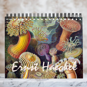 Calendrier Mural Vintage Ernst Haeckel, Biologie, Botanique, Scienc