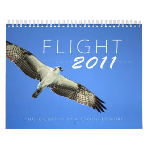 Calendrier Mural Vol 2011