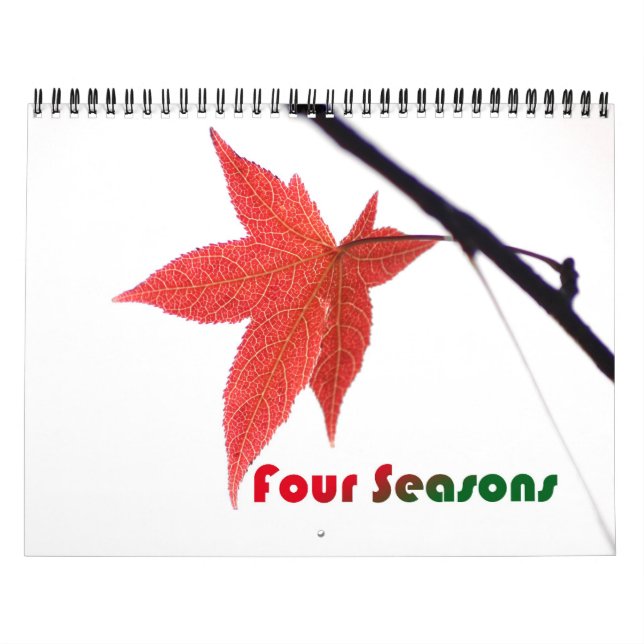 Calendrier Mural Washington DC (Protection)