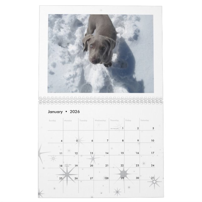 Calendrier Mural weimaraner 2012 (Jan 2026)