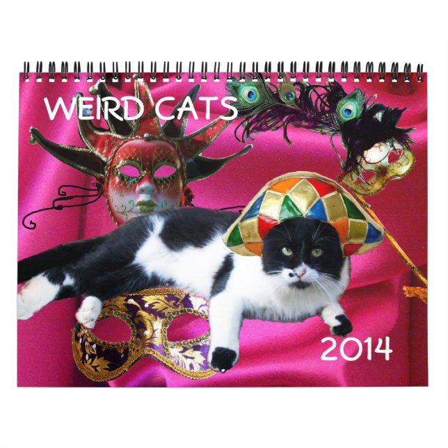 CALENDRIER MURAL WEIRD CATS 2014 (Protection)