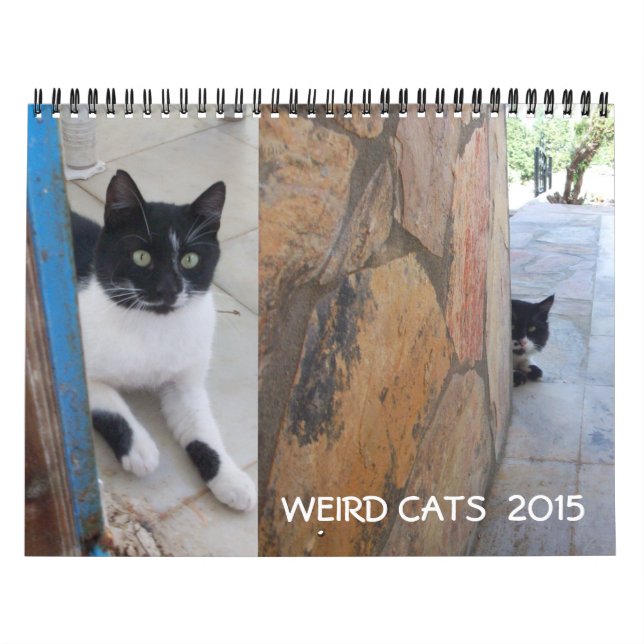 CALENDRIER MURAL WEIRD CATS 2017 (Protection)