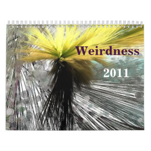 Calendrier Mural Weirdness 2011