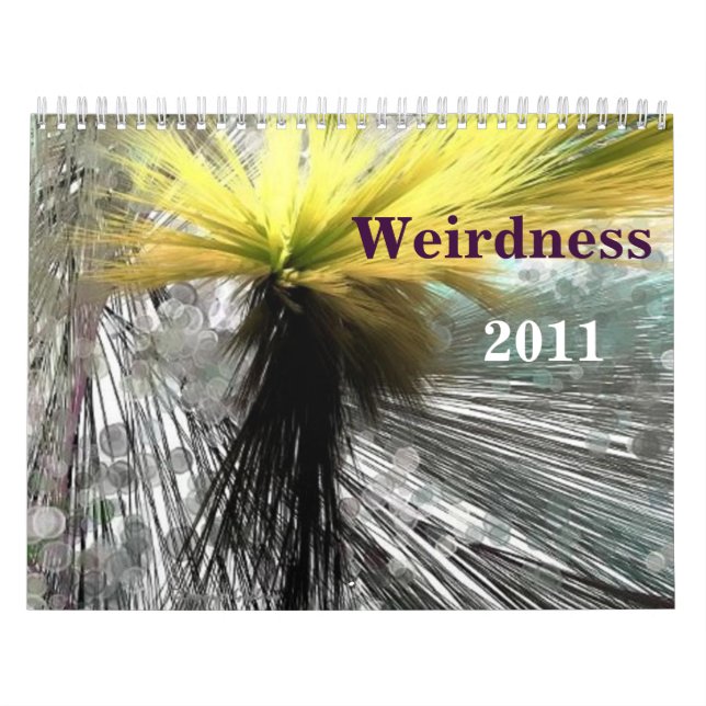 Calendrier Mural Weirdness 2011 (Protection)