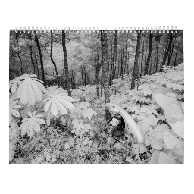 Calendrier Mural Whitewater 2016 (Dos)