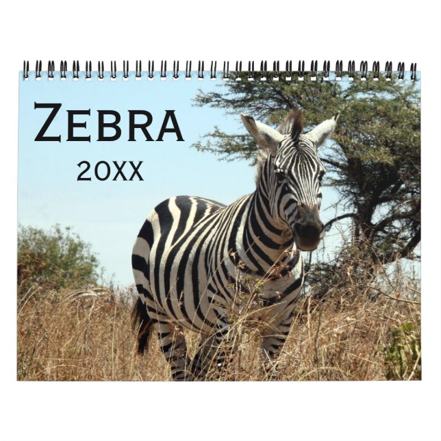 Calendrier Mural zèbre 2027 (Protection)