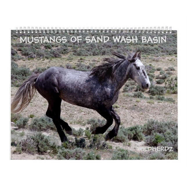 Calendrier Mustangs du bassin de lavage de sable Colorado (Protection)