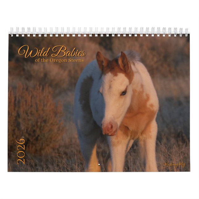 Calendrier MustangWild 2026 "Wild Babies" Calendar (Protection)