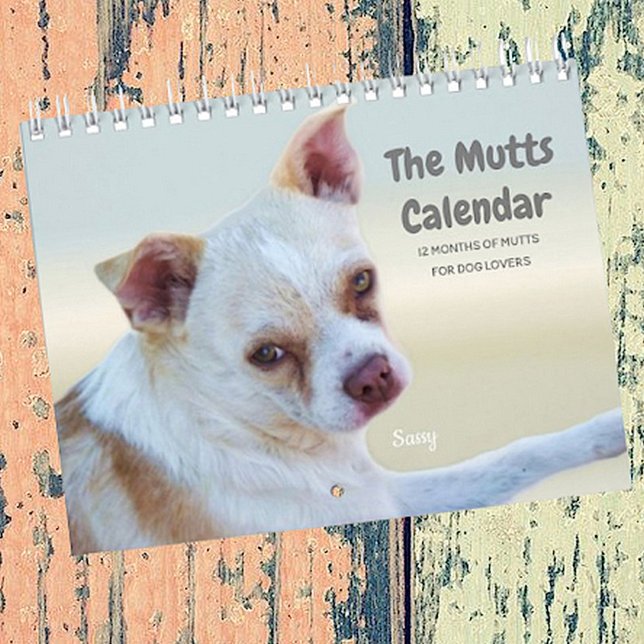 Calendrier Mutts Pour Les Amoureux de les chiens (Créateur téléchargé)