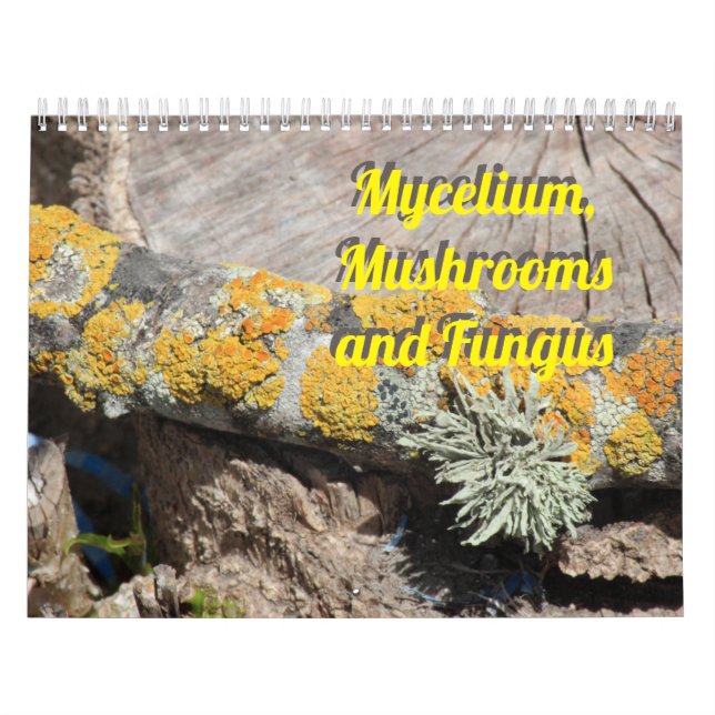 Calendrier Mycélium, champignons et champignons (Protection)