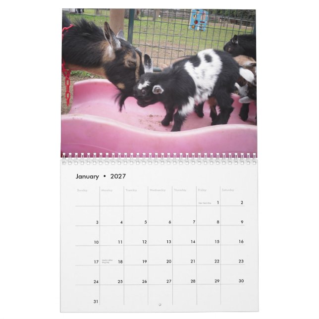 calendrier nain nigérien de la chèvre 2014 (Jan 2027)