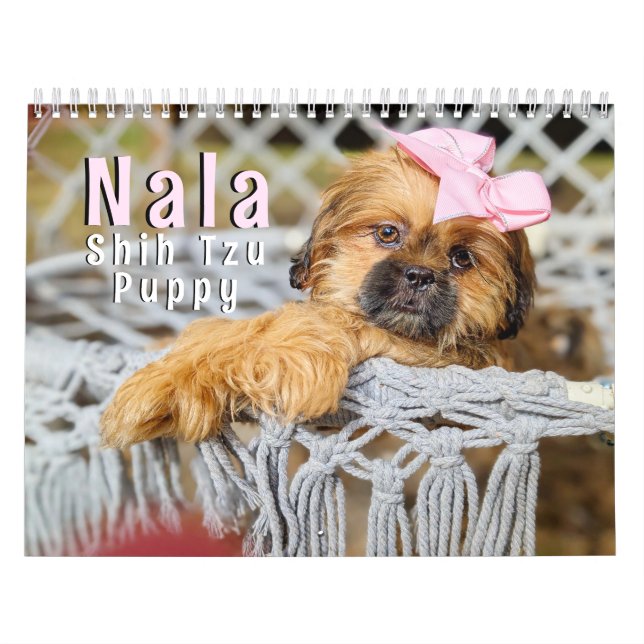 Calendrier Nala Shih Tzu Chiot le Plus Mignon (Protection)